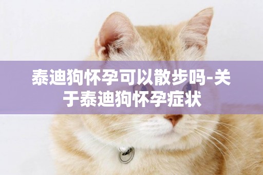 泰迪狗怀孕可以散步吗-关于泰迪狗怀孕症状