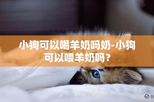 小狗可以喝羊奶吗奶-小狗可以喂羊奶吗？