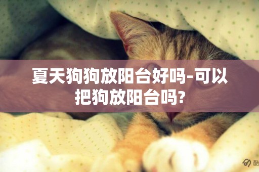 夏天狗狗放阳台好吗-可以把狗放阳台吗?