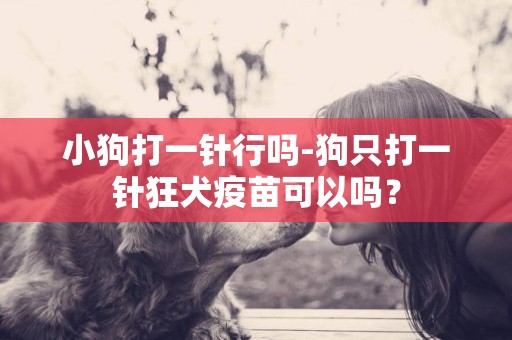 小狗打一针行吗-狗只打一针狂犬疫苗可以吗？