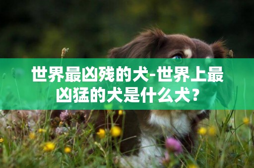 世界最凶残的犬-世界上最凶猛的犬是什么犬？