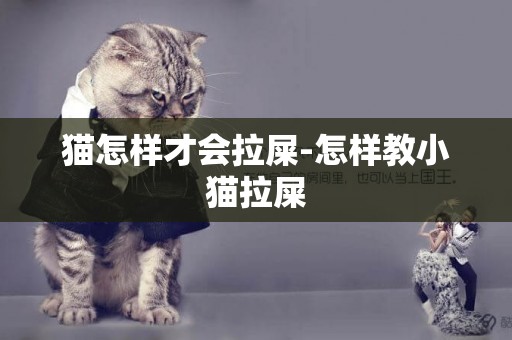 猫怎样才会拉屎-怎样教小猫拉屎