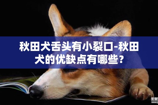 秋田犬舌头有小裂口-秋田犬的优缺点有哪些？