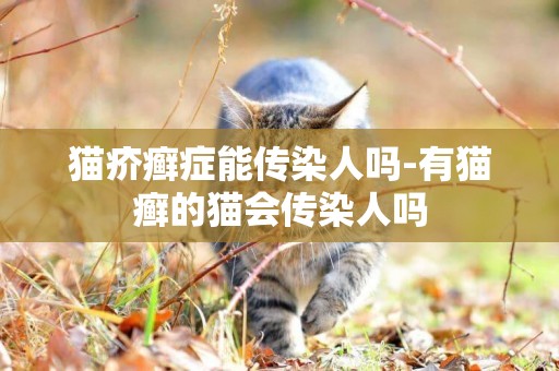 猫疥癣症能传染人吗-有猫癣的猫会传染人吗