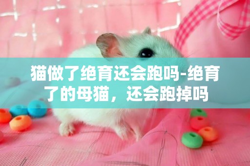 猫做了绝育还会跑吗-绝育了的母猫，还会跑掉吗