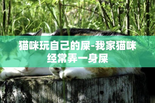 猫咪玩自己的屎-我家猫咪经常弄一身屎