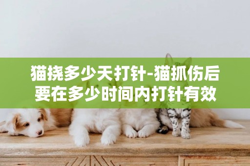 猫挠多少天打针-猫抓伤后要在多少时间内打针有效