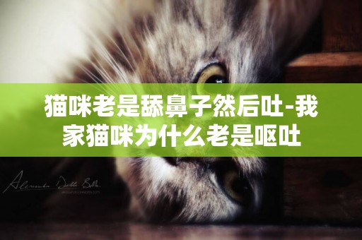 猫咪老是舔鼻子然后吐-我家猫咪为什么老是呕吐