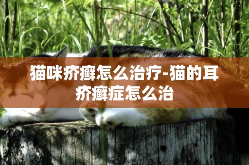 猫咪疥癣怎么治疗-猫的耳疥癣症怎么治