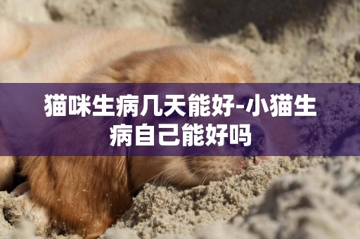 猫咪生病几天能好-小猫生病自己能好吗