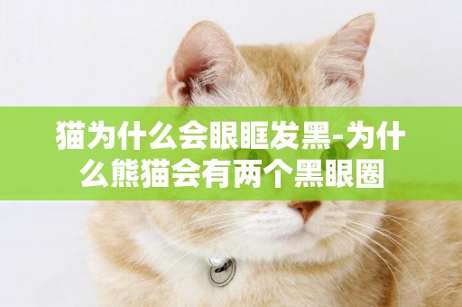 猫为什么会眼眶发黑-为什么熊猫会有两个黑眼圈