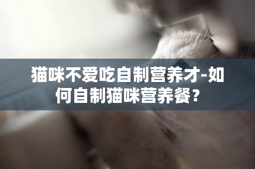 猫咪不爱吃自制营养才-如何自制猫咪营养餐？