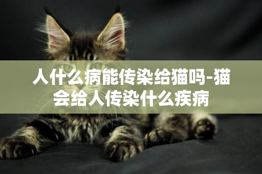 人什么病能传染给猫吗-猫会给人传染什么疾病