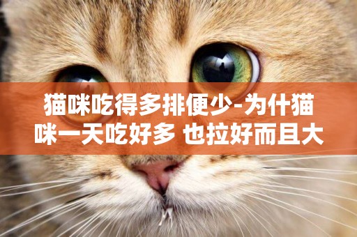 猫咪吃得多排便少-为什猫咪一天吃好多 也拉好而且大便是稀的