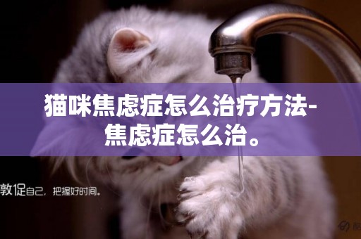 猫咪焦虑症怎么治疗方法-焦虑症怎么治。