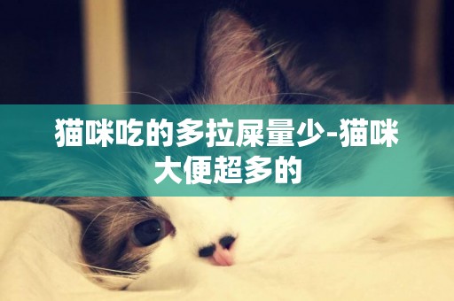 猫咪吃的多拉屎量少-猫咪大便超多的