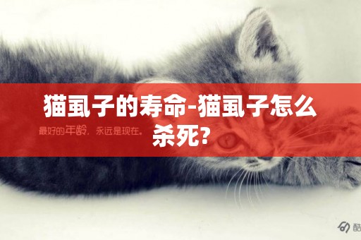 猫虱子的寿命-猫虱子怎么杀死?