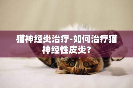 猫神经炎治疗-如何治疗猫神经性皮炎？