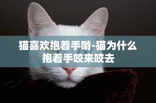 猫喜欢抱着手啃-猫为什么抱着手咬来咬去