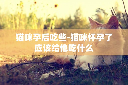 猫咪孕后吃些-猫咪怀孕了应该给他吃什么