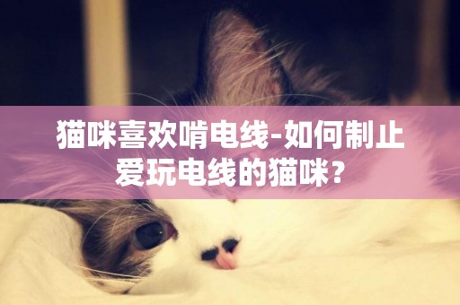 猫咪喜欢啃电线-如何制止爱玩电线的猫咪？