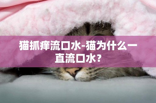 猫抓痒流口水-猫为什么一直流口水？