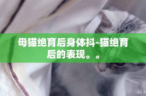 母猫绝育后身体抖-猫绝育后的表现。。