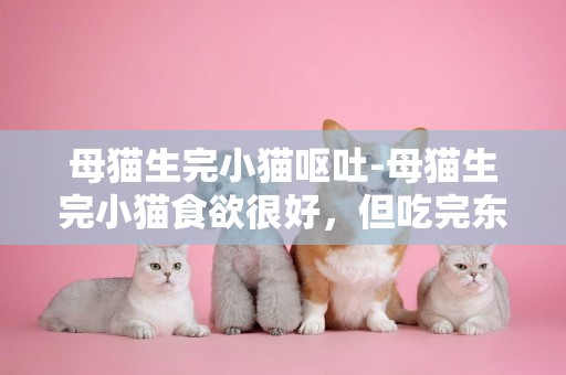 母猫生完小猫呕吐-母猫生完小猫食欲很好，但吃完东西呕吐，为什么？