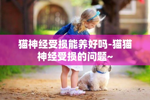 猫神经受损能养好吗-猫猫神经受损的问题~