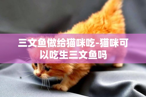 三文鱼做给猫咪吃-猫咪可以吃生三文鱼吗