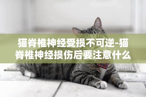 猫脊椎神经受损不可逆-猫脊椎神经损伤后要注意什么