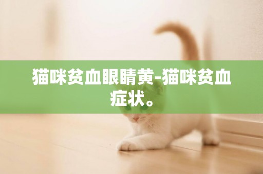 猫咪贫血眼睛黄-猫咪贫血症状。