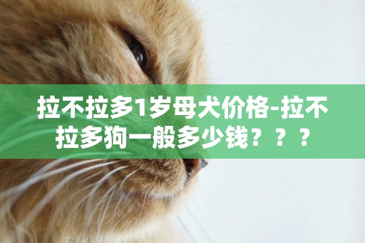 拉不拉多1岁母犬价格-拉不拉多狗一般多少钱？？？