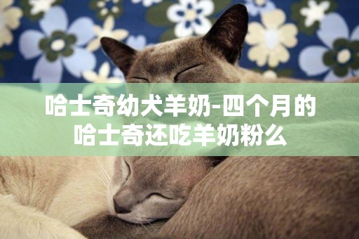 哈士奇幼犬羊奶-四个月的哈士奇还吃羊奶粉么