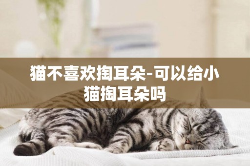 猫不喜欢掏耳朵-可以给小猫掏耳朵吗