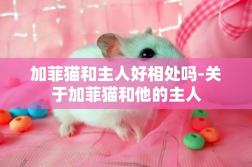 加菲猫和主人好相处吗-关于加菲猫和他的主人