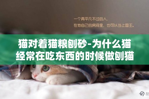 猫对着猫粮刨砂-为什么猫经常在吃东西的时候做刨猫砂的动作