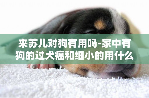 来苏儿对狗有用吗-家中有狗的过犬瘟和细小的用什么消毒？来苏尔可以吗？