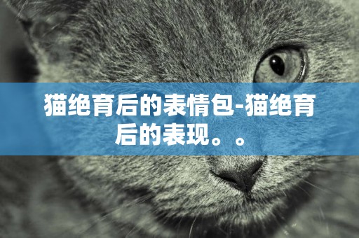 猫绝育后的表情包-猫绝育后的表现。。