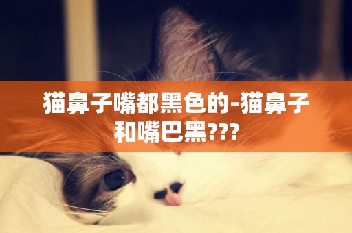 猫鼻子嘴都黑色的-猫鼻子和嘴巴黑???