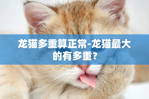 龙猫多重算正常-龙猫最大的有多重？