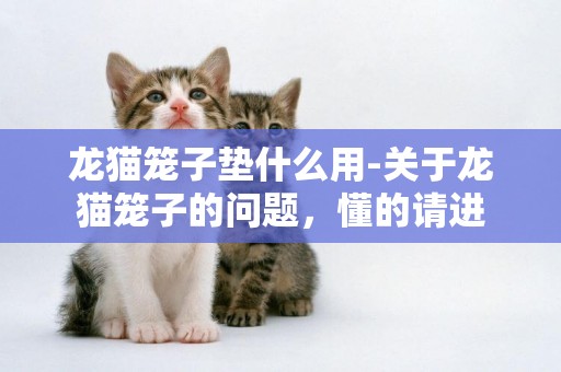 龙猫笼子垫什么用-关于龙猫笼子的问题，懂的请进