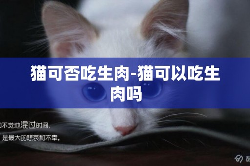 猫可否吃生肉-猫可以吃生肉吗