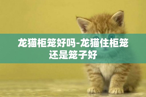 龙猫柜笼好吗-龙猫住柜笼还是笼子好