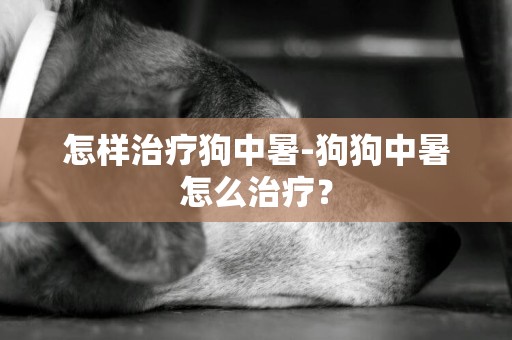 怎样治疗狗中暑-狗狗中暑怎么治疗？