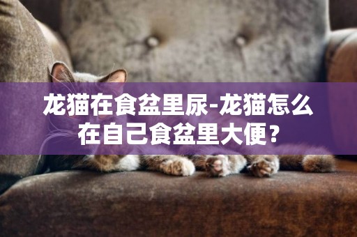 龙猫在食盆里尿-龙猫怎么在自己食盆里大便？