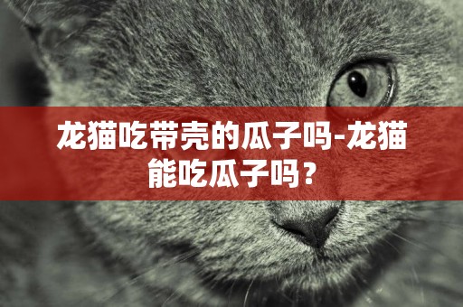 龙猫吃带壳的瓜子吗-龙猫能吃瓜子吗？