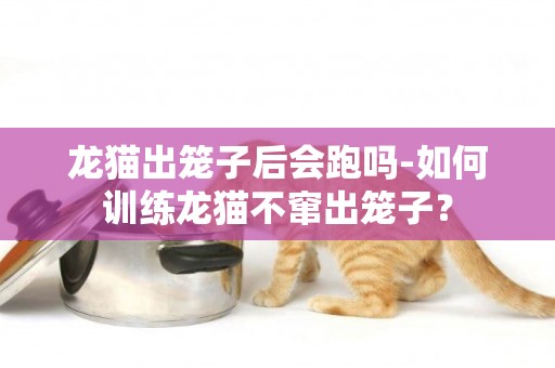 龙猫出笼子后会跑吗-如何训练龙猫不窜出笼子？