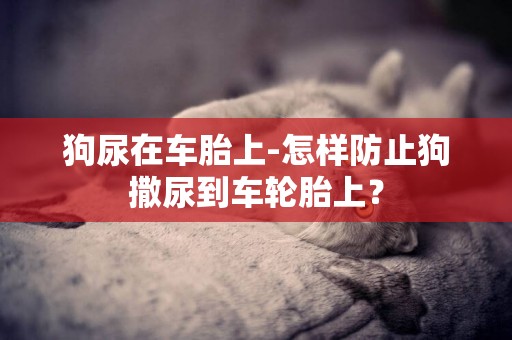 狗尿在车胎上-怎样防止狗撒尿到车轮胎上？