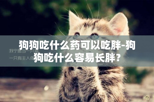 狗狗吃什么药可以吃胖-狗狗吃什么容易长胖？